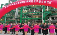 2000-2005年，选取意大利欧技工艺技术，相继建成了三套三聚氰胺出产装置，年产能5.4万吨